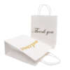 colorful logo kraft clothes gift bag showing colorful print, custom logo artwork and hand-carry structure