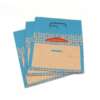 Printed colorful kraft shopping bag with handle for branded paper packaging