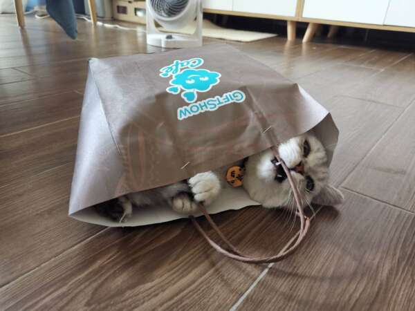 custom printed recycled takeaway kraft paper bag with logo view 4