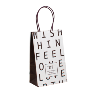 luxury boutique kraft paper gift shopping bag with eco logo view 1