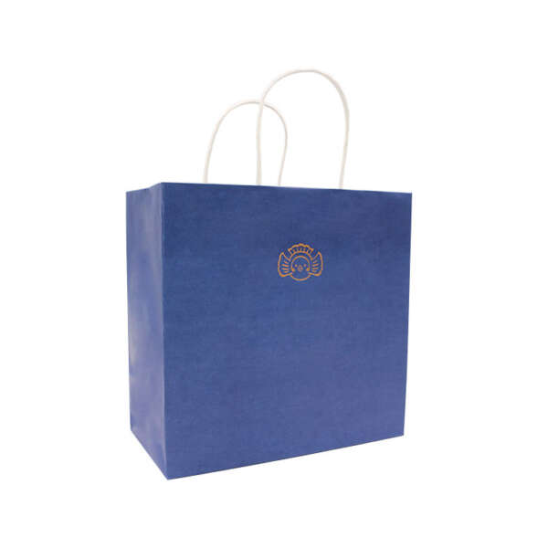 blue color printed wide base handle paper packing bag view 1