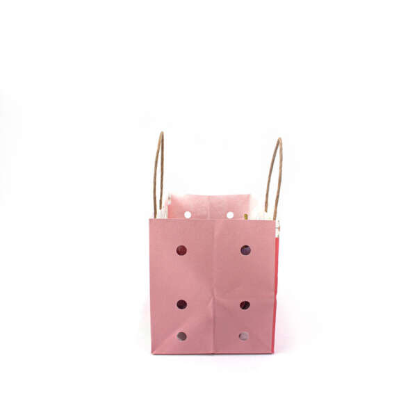 anti wet kraft fruit packaging paper bag with ventilation holes view 4