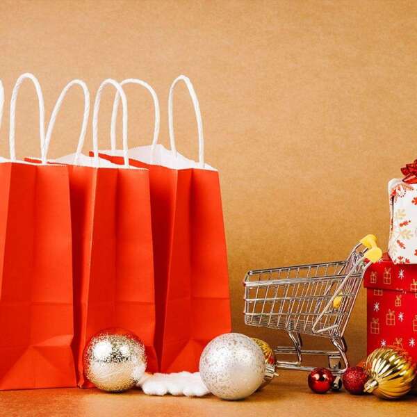 Christmas kraft shopping gift bag showing custom logo print, seasonal artwork and handle options