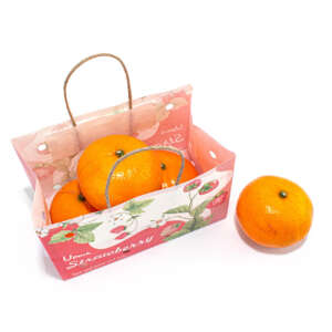 Custom wet strength fruit paper bag with handle for apples, grapes, oranges, produce markets and fruit gift packaging
