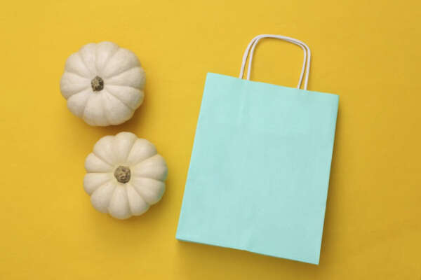 flexo printed brown kraft grocery shopping paper bag view 3