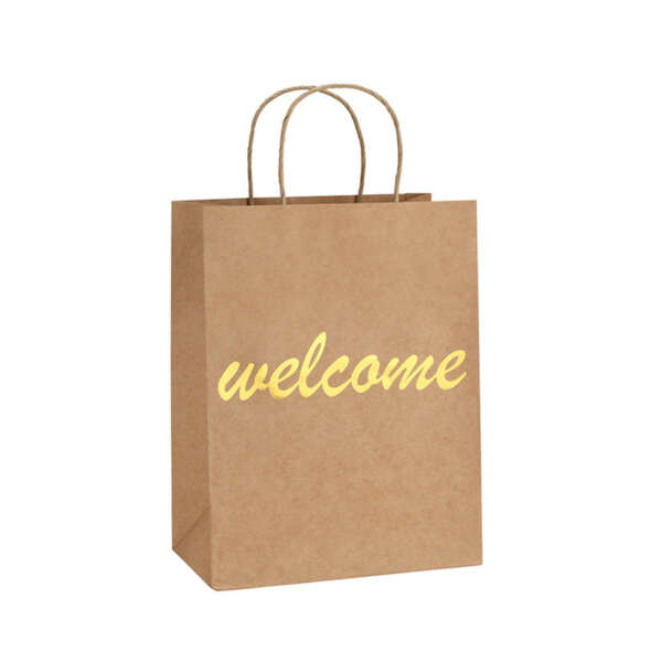colorful logo kraft clothes gift bag production sample with export carton support