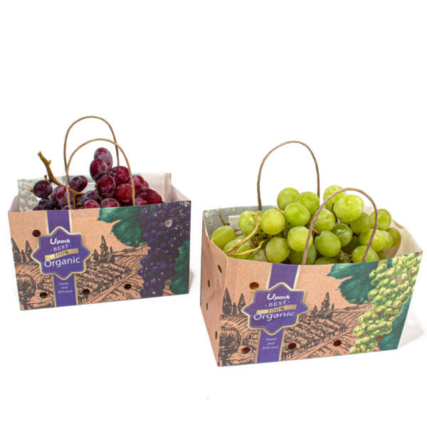 Printed wet strength fruit paper bag with handle for branded paper packaging