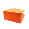 decorative easy carry fashion shopping paper bag for women clothes image 3