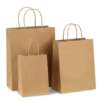 reusable fashion kraft gift bag production sample with export carton support