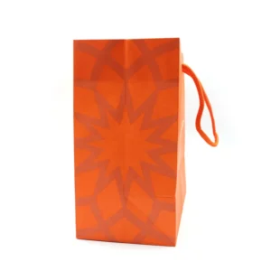 decorative easy carry fashion shopping paper bag for women clothes image 2