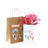 Printed kraft food clothes shopping paper bag for branded paper packaging