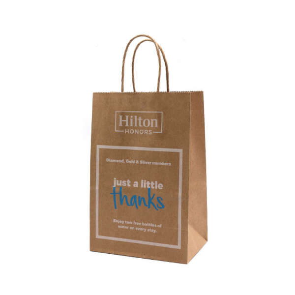 printed kraft shopping bag with handle sample with export carton support