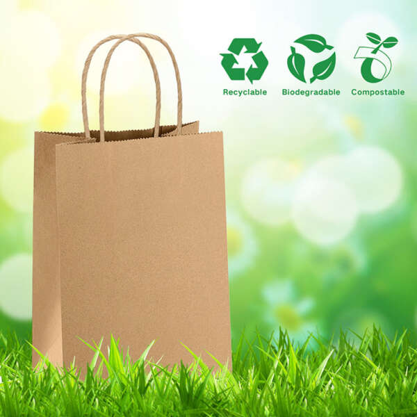 Wholesale printed Christmas kraft gift bag for custom paper bag buyers