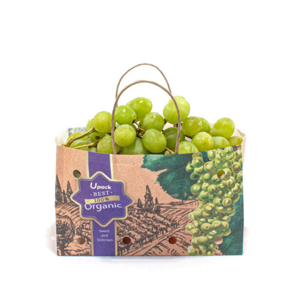 anti wet kraft fruit packaging paper bag with ventilation holes view 6