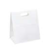 crown pattern printed couche kraft paper bag for retail gifts - retail display view