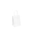 biodegradable grocery promotional paper bag with printed logo view 3