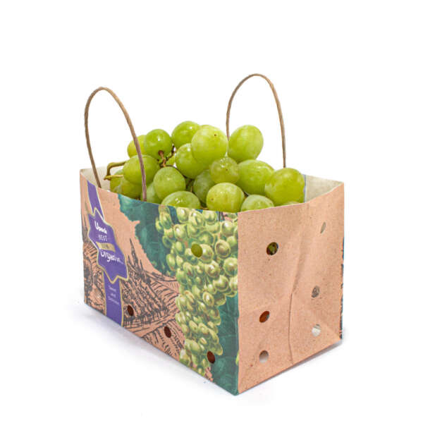 wet strength fruit paper bag with handle showing handle construction, fruit packaging strength and custom logo printing