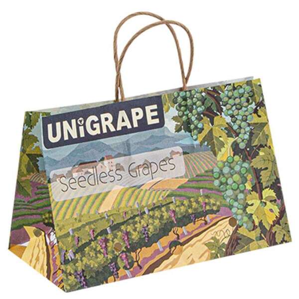recyclable kraft grocery shopping paper bag for supermarket use view 6