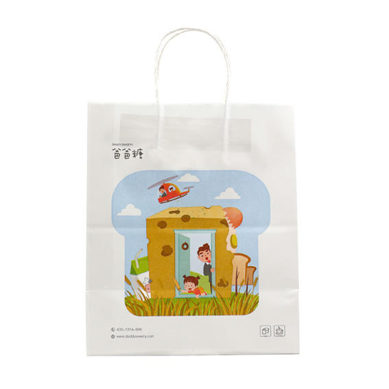Printed CMYK kraft gift paper bag for branded paper packaging