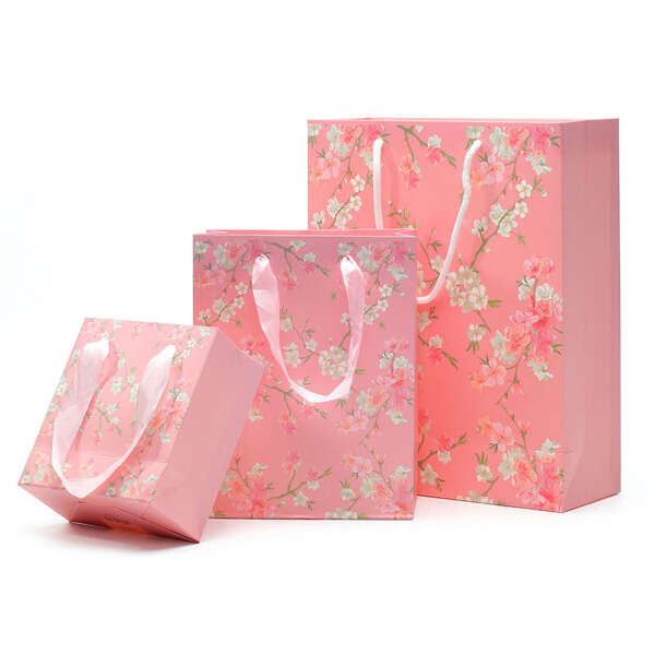 custom logo mini jewelry gift shopping bag with rope handle - product presentation