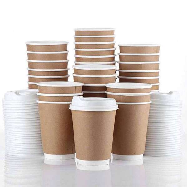 biodegradable PLA coated coffee cup and seed paper bag packaging view 5