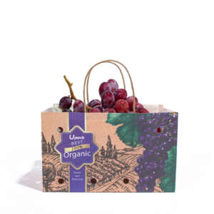wet strength brown paper wet strength fruit paper bag with handle with logo printing detail