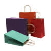 colorful handle paper gift bag showing custom color handles, logo printing and gift-ready paper construction