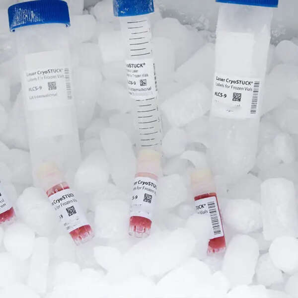 Cryogenic lab label for tube and vial identification
