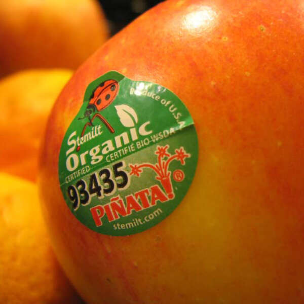 Fade-resistant barcode labels for produce packaging
