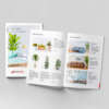 Eco friendly mini booklet brochure printing sample
