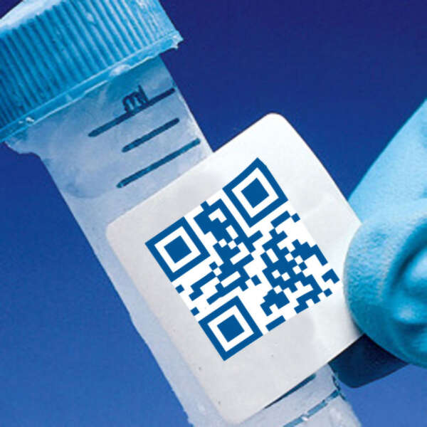Test tube cryogenic labels