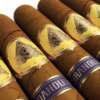 gold foil embossed custom cigar band ring label sticker bulk cigar packaging use